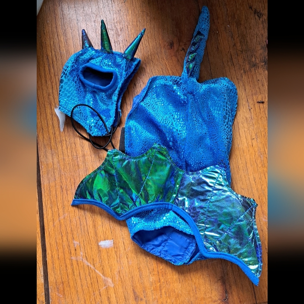 Blue Dragon Pet Costume